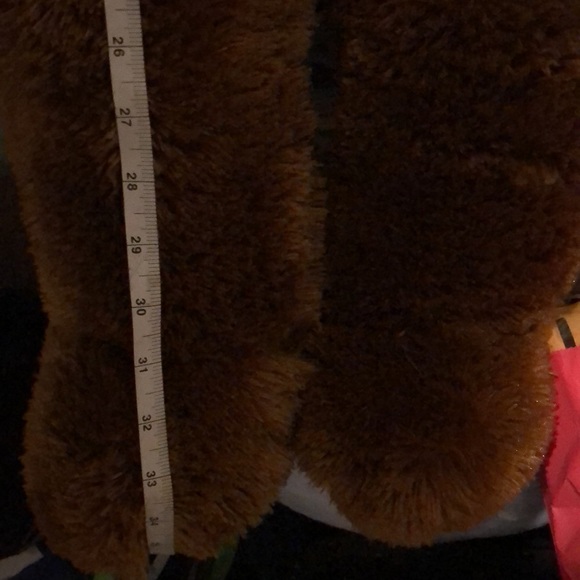 Dale Jr #88 stuffed bear - NASCAR - Picture 8 of 8